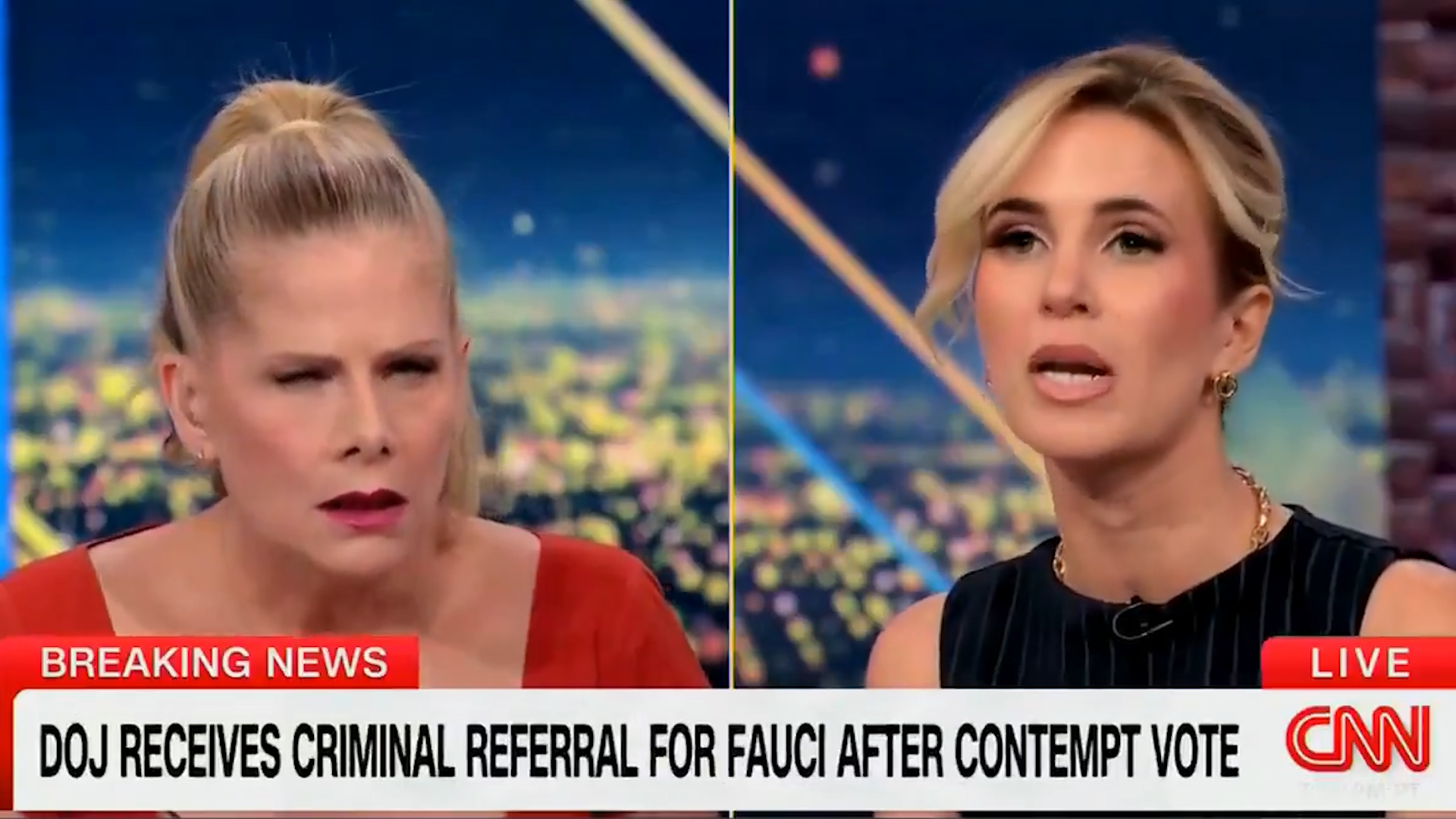 CNN Panel Goes Haywire